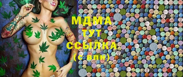 СК Алексин