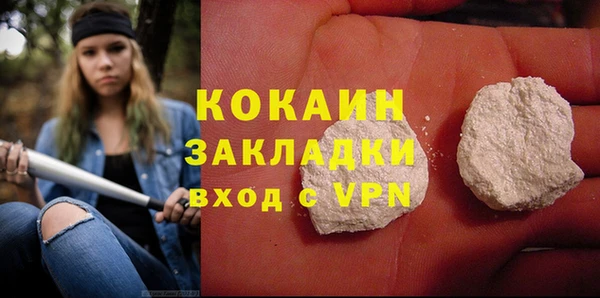 СК Алексин