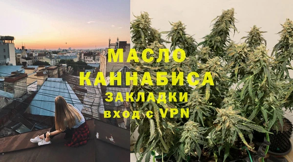 СК Алексин