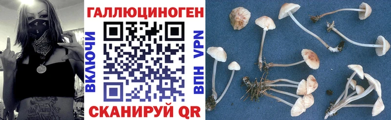 Галлюциногенные грибы GOLDEN TEACHER  Талдом 